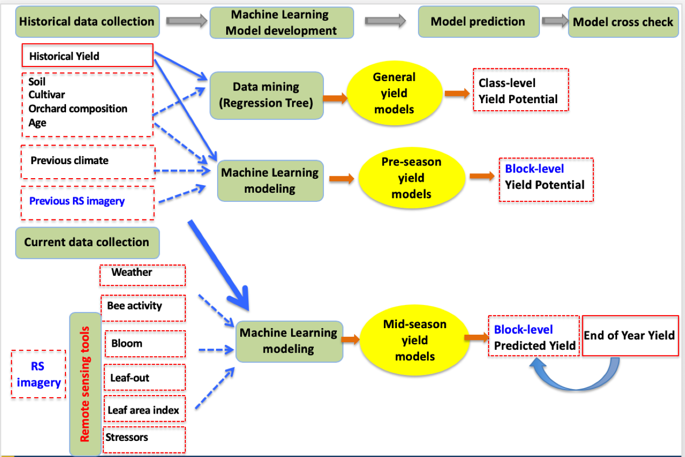 Almond_AI_diagram_Picture1.png